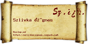 Szlivka Ágnes névjegykártya