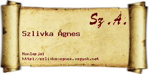 Szlivka Ágnes névjegykártya