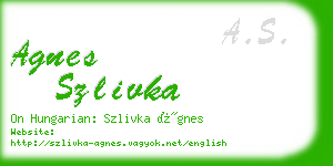 agnes szlivka business card